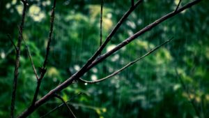 Raining