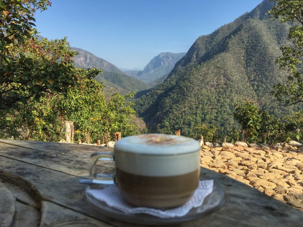 coffee
